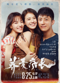 成版人app网站